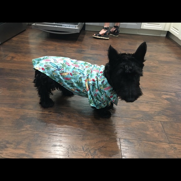 Meet your Posher, Allen - Picture 1 of 1